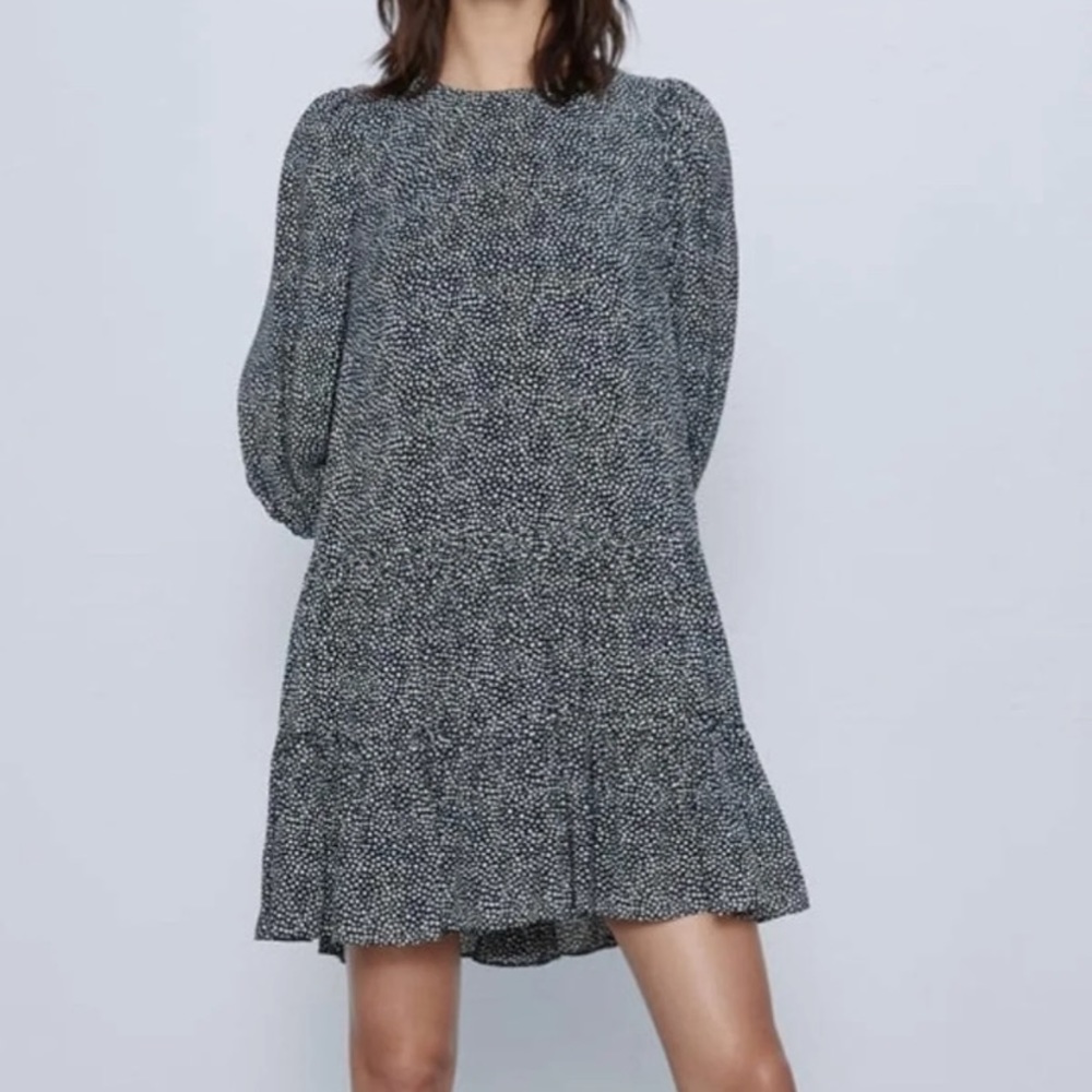 Zara microdot mini dress